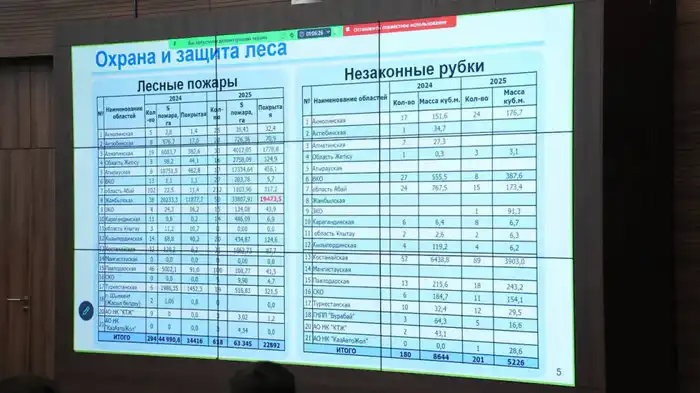Устойчивое лесное хозяйство Казахстана: международные усилия по сохранению биоразнообразия Павлодаре