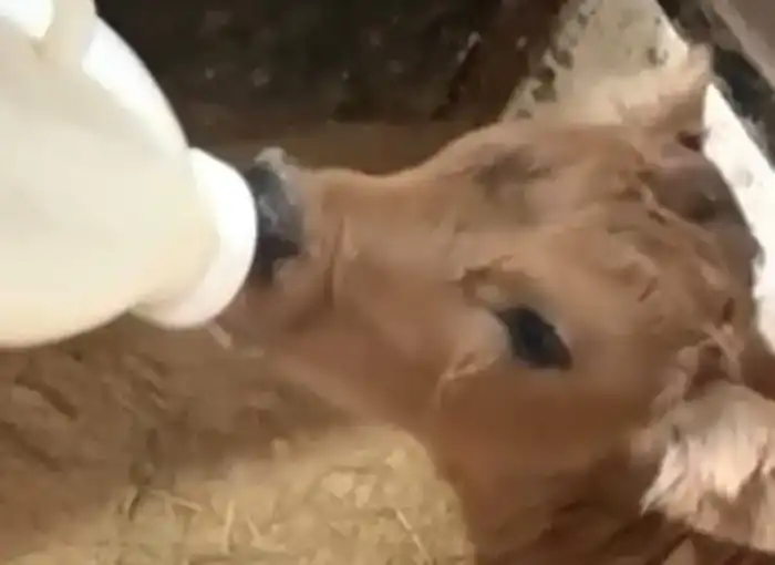 Семейные традиции как основа для бизнеса: история успеха Айгуль Куандыковой из Акмолинской области Павлодаре