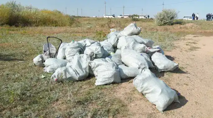 О повышении экологической культуры и охране окружающей среды (5)