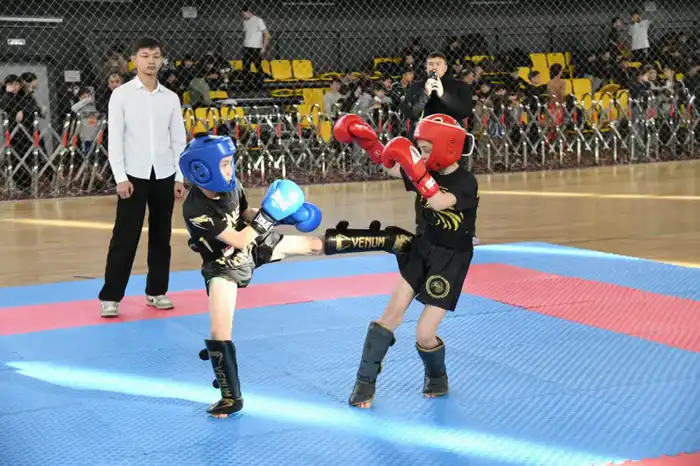 «Астана – город без наркотиков»: турнир по кикбоксингу среди молодежи провели в столице (6)