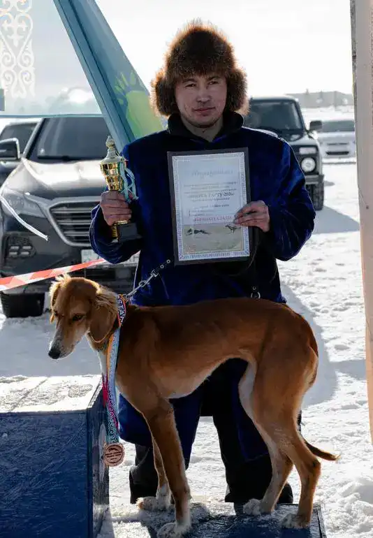 Тазы на старте: кто быстрее в Бухар-Жырау? Павлодаре