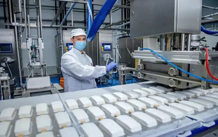 Рост экспорта мороженого в Казахстане: новые возможности для местных производителей Павлодаре