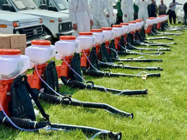 Эффективность борьбы с саранчой в Туркестане: новые методы и контроль качества препаратов могут изменить ситуацию Павлодаре