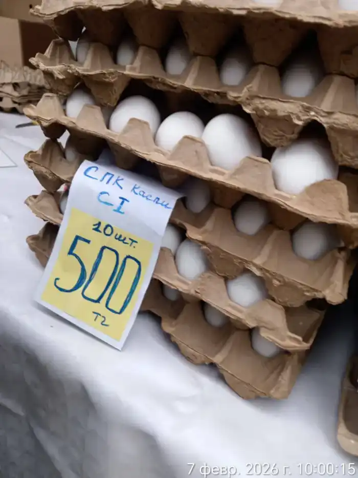 Ярмарка в Актау: 2 тонны картофеля из стабилизационного фонда и широкий ассортимент продуктов Павлодаре