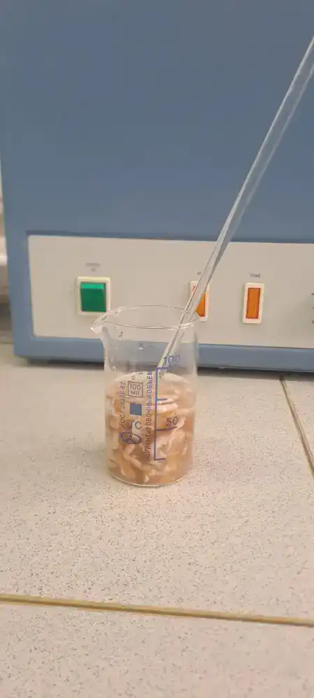 Innovative Technology for Preserving Cattle Hides Developed by Kazakh Scientists Павлодаре