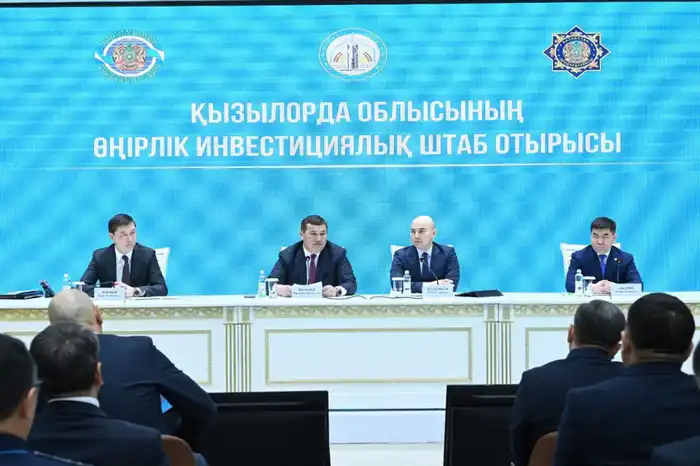 В Кызылординской области обсуждено взаимодействие госорганов по вопросу привлечения инвестиций в экономику региона (9)