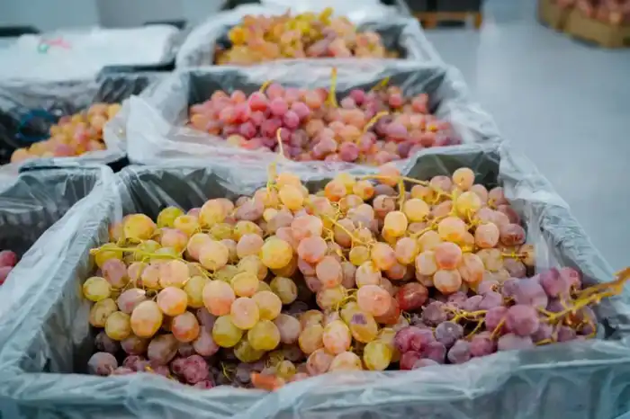 Выгодные цены и качественная продукция: очередная сельхозярмарка проходит в Астане (4)