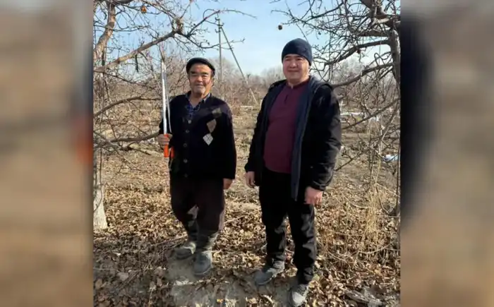 Зеленая математика: учитель превращает формулы в плоды в саду Жетісу Павлодаре