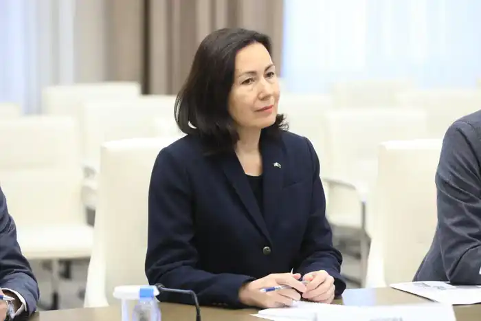 Глава региона Асхат Шахаров принял делегацию Европейского Союза (3)