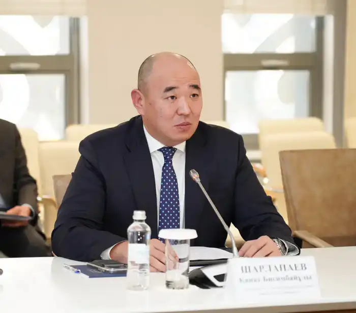 В ТУРКЕСТАНСКОЙ ОБЛАСТИ УСИЛЯТ ПОДДЕРЖКУ ОТЕЧЕСТВЕННОГО БИЗНЕСА (3)