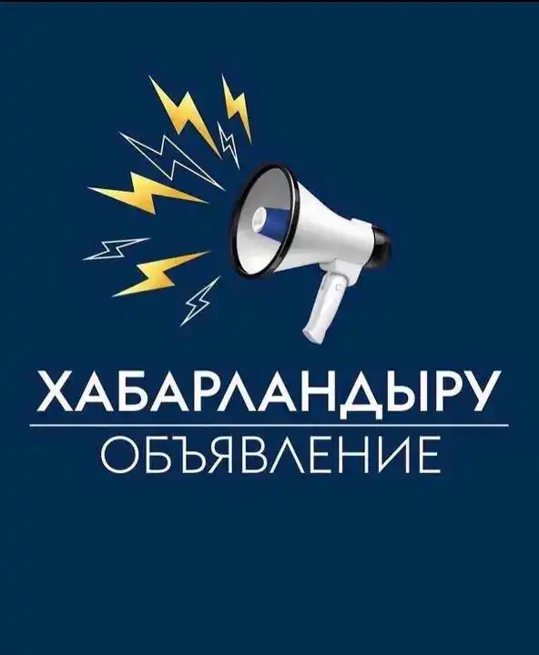 Конкурс по отбору независимых членов Наблюдательного совета «Digital Silk Road Company»: новые возможности для развития цифровых технологий в Казахстане Павлодаре