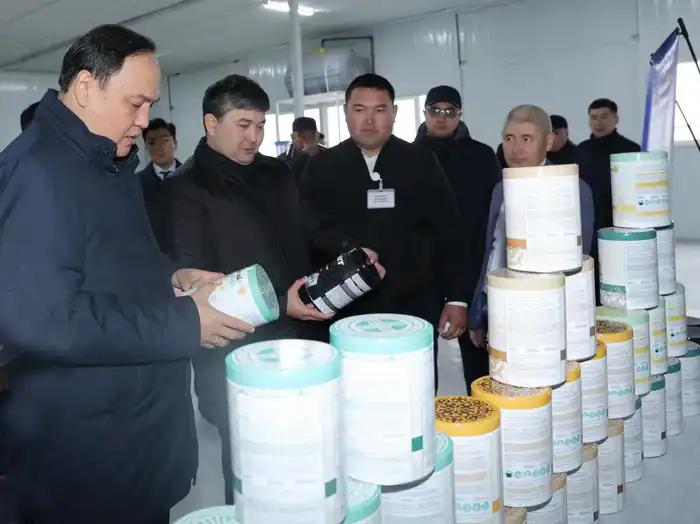 Талас: где пища, транспорт и надежда встречаются! Павлодаре