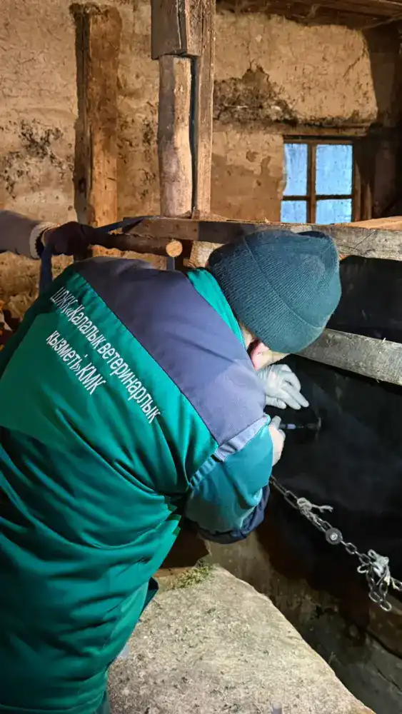 Бесплатная вакцинация животных в Алматы Павлодаре