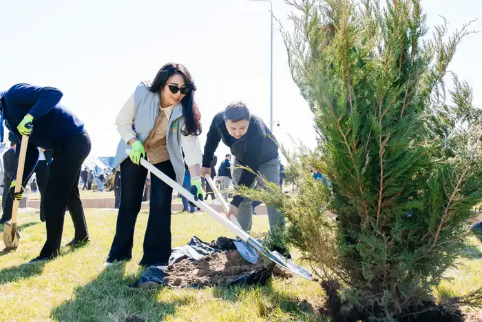В Атырауской области Казахстана планируется высадка более 1,8 миллиона деревьев в рамках экологической инициативы Павлодаре