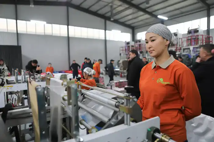 ИТОГИ 2025 ГОДА: В ТУРКЕСТАНСКОЙ ОБЛАСТИ ТРУДОУСТРОЕНО ОКОЛО 148 ТЫСЯЧ ГРАЖДАН (3)