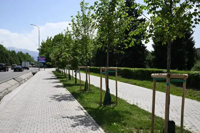 Алматы: к 2030 году город станет зелёным одеялом с 15 кв. м зелени на человека Павлодаре