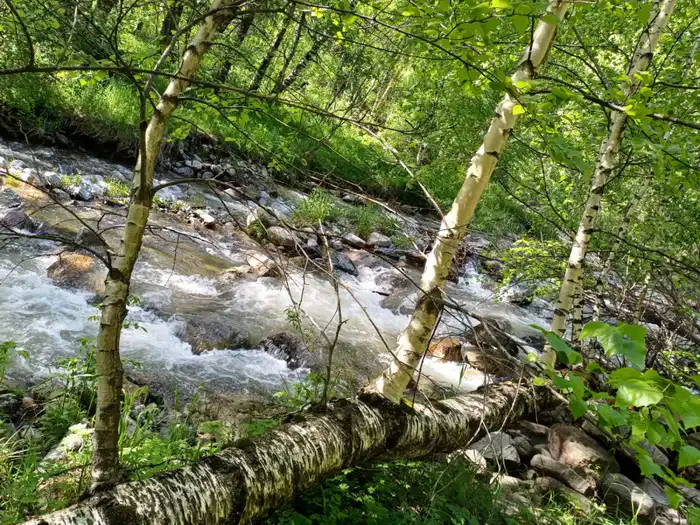 В этом году в области Жетісу создадут три экопарка (7)