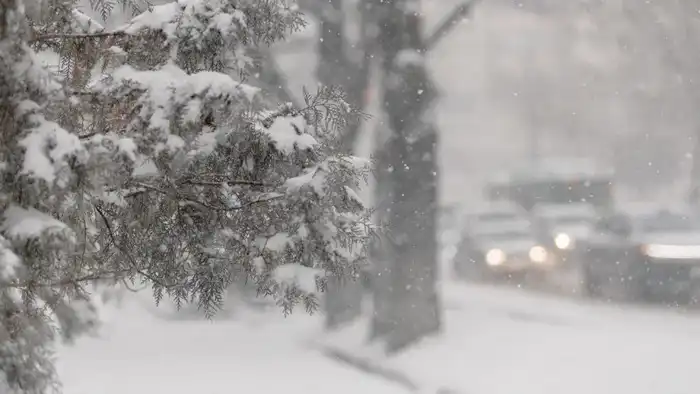 Снег и дождь ожидаются в Казахстане: синоптики 'Казгидромета' представили прогноз на 16 и 17 февраля Павлодаре