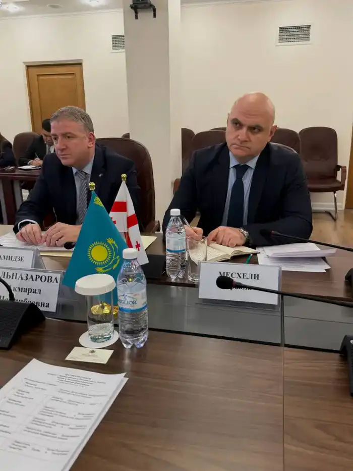 Казахстан и Грузия: укрепление двустороннего сотрудничества в сфере здравоохранения Павлодаре