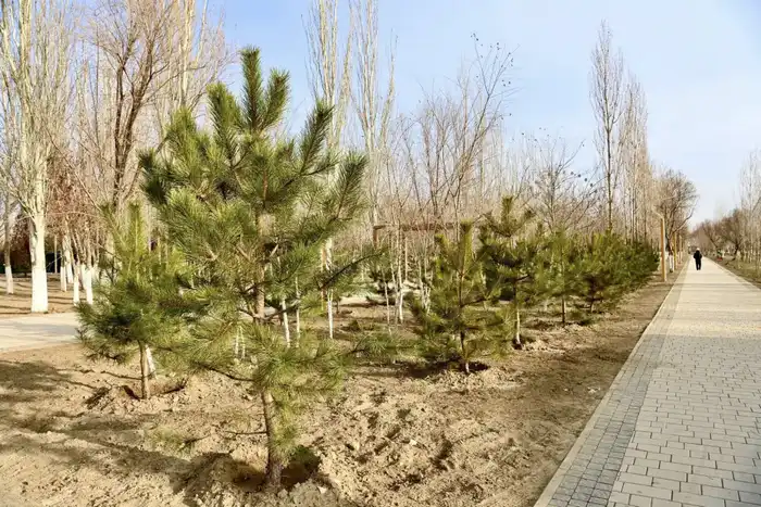 В регионе началось строительство новой библиотеки, театра и реконструкция Президентского парка Павлодаре