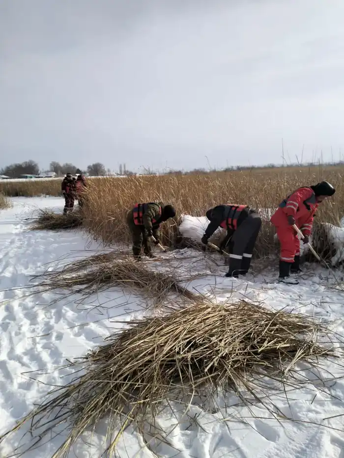 В Актобе успешно завершена подготовка к весеннему паводку 2026 года Павлодаре