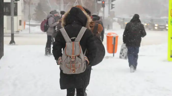Астана: младшие классы второй смены переходят на дистанционное обучение из-за непогоды Павлодаре