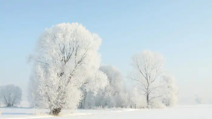 Синоптики Казгидромета предупреждают о резком похолодании в Казахстане после теплых дней с температурой до +17 градусов. Прогноз погоды на 5, 6 и 7 февраля предвещает значительное снижение температуры. Павлодаре