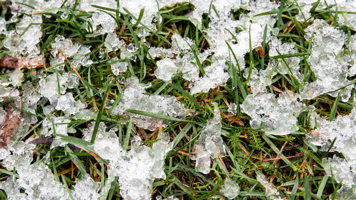 Сильные морозы в южном Казахстане: возможные последствия для населения и инфраструктуры в конце февраля Павлодаре