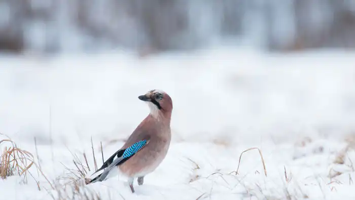 Климатические изменения в Казахстане: резкие перепады погоды вызывают обеспокоенность у населения Павлодаре