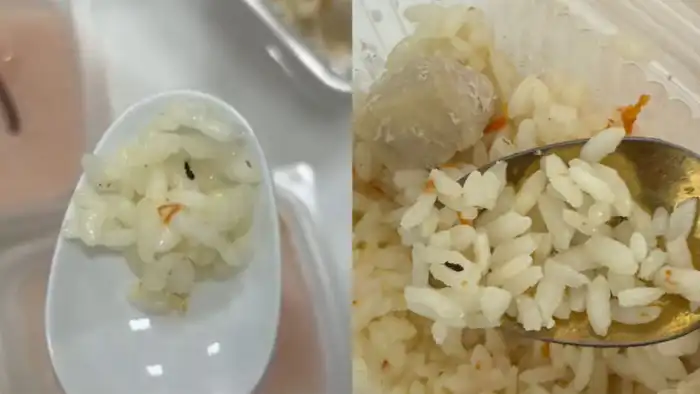 В Караганде обеденный скандал: в тарелках детей вместо пищи – загадочные находки Павлодаре