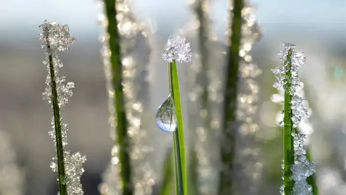 В январе 2026 года в Казахстане зафиксированы новые температурные максимумы, в том числе побит рекорд, державшийся 51 год. Аномальное тепло стало причиной обсуждений среди метеорологов и жителей страны, поднимая вопросы о климатических изменениях и их пос Павлодаре