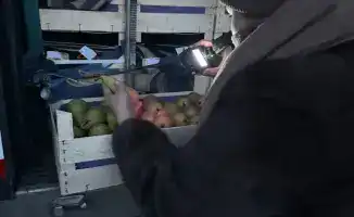 Груши из Бельгии возвращены в Казахстан