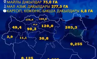Актюбинская область: посевная площадь 865 тыс. га