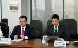 Молодежные организации Казахстана поддерживают реформы Конституции в контексте развития гражданского общества