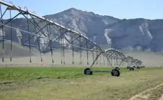 Экономический рост Созакского района: валовый региональный продукт превысил 1 трлн тенге и его влияние на местное население