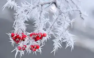 Прогноз погоды в Казахстане: 37-градусные морозы 21, 22 и 23 февраля от синоптиков Казгидромета