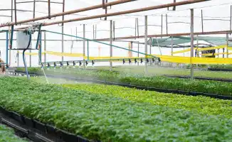 Туркестанская область охватывает 114 тыс. гектаров с водосберегающими технологиями