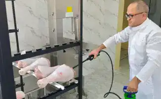 Увеличение срока хранения мяса птицы открывает новые возможности для казахстанского экспорта