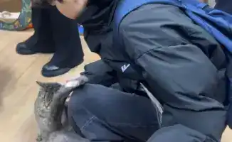 Астанинские школьники помогли приюту для животных