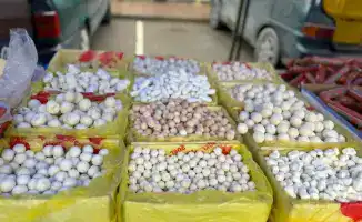 Продовольственная ярмарка в Туркестане с 50 тонн продукции и ценами ниже рынка