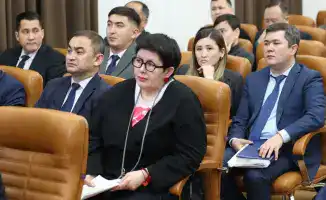 Конституционная реформа Казахстана укрепление прав и свобод человека эффективность политических институтов