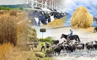 Количество сельхозкооперативов в Казахстане увеличилось до 4 465 за 5 лет