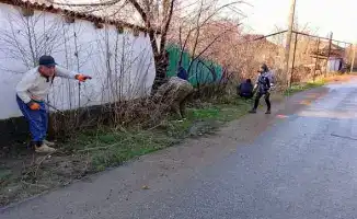 Работы по благоустройству в Сарыагаше продолжаются