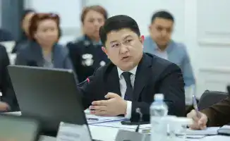 Зимовка скота в Жамбылской области проходит в штатном режиме, подтверждает руководство