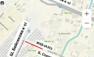 Сокпакбаева: дороги закроют, но не для всех!