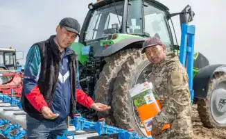 Раннеспелые сорта сахарной свеклы готовятся к сбору в Жетісу: 585 тысяч тонн на горизонте