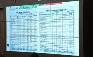Устойчивое лесное хозяйство Казахстана: международные усилия по сохранению биоразнообразия