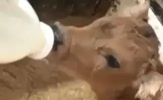 Семейные традиции как основа для бизнеса: история успеха Айгуль Куандыковой из Акмолинской области