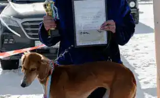 Тазы на старте: кто быстрее в Бухар-Жырау?