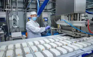 Рост экспорта мороженого в Казахстане: новые возможности для местных производителей